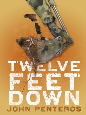 cover image of Twelve Feet Down